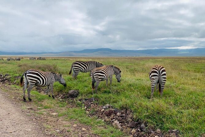 04 Days Tarangire, Serengeti and Ngorongoro crater group (Camping - Three parks in four days, and why the order works