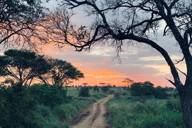 04 Days Tarangire, Serengeti and Ngorongoro crater group (Camping - Day 4: Six hours on the Ngorongoro Crater floor