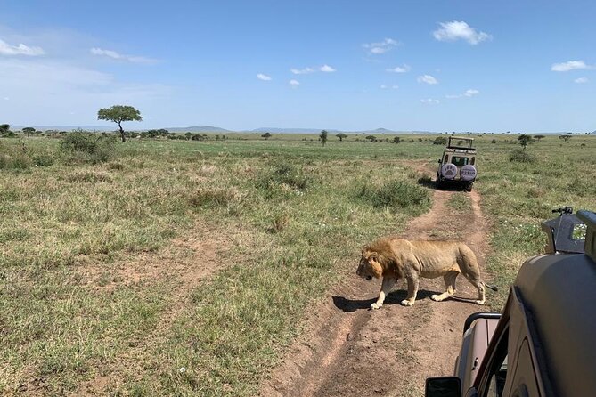 04 Days Tarangire, Serengeti and Ngorongoro crater group (Camping - Day 2: Crossing into Serengeti through the Ngorongoro area