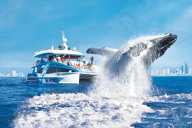 1.5 hr Jet Ski Safari tour to South Stradbroke Island! - Weekend breakfast option