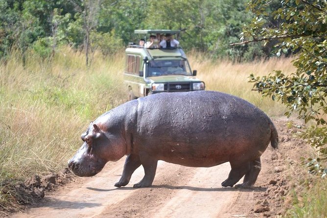 1 Day Safari to Akagera national park-Big5 Safari - Why this Akagera day trip works from Kigali
