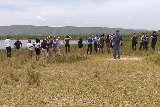 1 Day Safari to Akagera national park-Big5 Safari - Morning game drive across the savanna