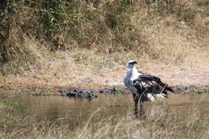 1 Day Safari to Akagera national park-Big5 Safari - The 5:00 a.m. pickup and drive east