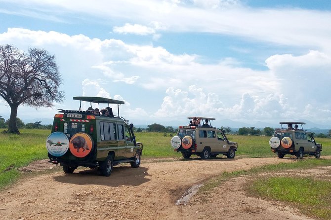 1 Day Safari to Mikumi National Park - Lunch, bottled water, and the afternoon drive