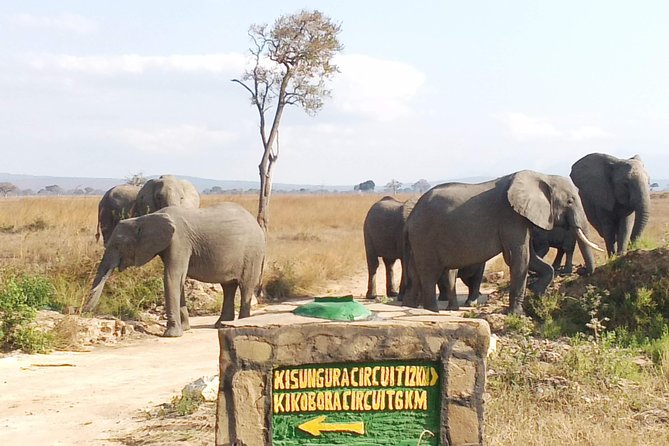 1 Day Safari to Mikumi National Park - Returning to Dar es Salaam after 3:00pm