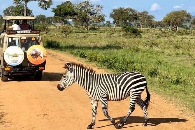 1 Day Safari to Mikumi National Park - The 4:00am departure from Dar es Salaam