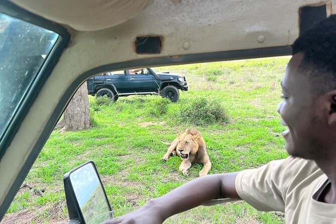 1. Day safaris to Mikumi by Train from dar es salaam - Key points to know before booking