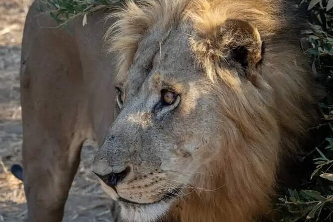1. Day safaris to Mikumi by Train from dar es salaam - Returning to Morogoro and Dar es Salaam