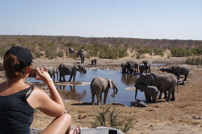 12 Day Classic Namibia Camping Safari - Days 2 and 3: Waterholes and night wildlife in Etosha