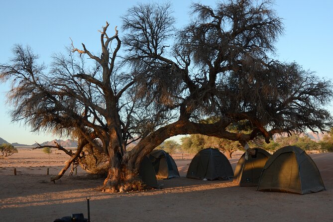 12 Day Classic Namibia Camping Safari - Day 8: Dune 45, Deadvlei, and Sesriem Canyon