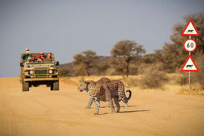 12 Day Classic Namibia Camping Safari - Day 1: Woodcarvers, rhinos, and a first camp at Mount Etjo