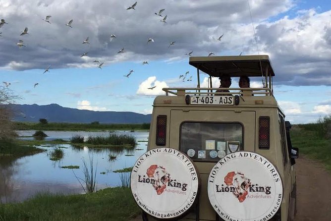 12 days Luxury Tanzania Honeymoon Safari and Zanzibar - From Arusha to the first elephant herds