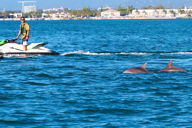 1hr Jet Ski Safari - Along the Gold Coast Broadwater
