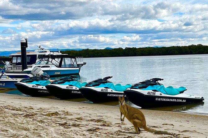 1hr Jet Ski Safari - What to bring and how to plan the day