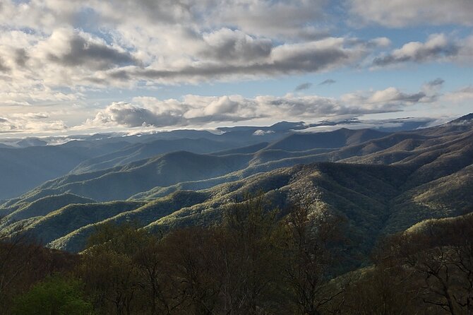 2.5-3 hour Smoky Mountain Cherokee Blue Ridge Parkway Safari tour - Why the small group matters