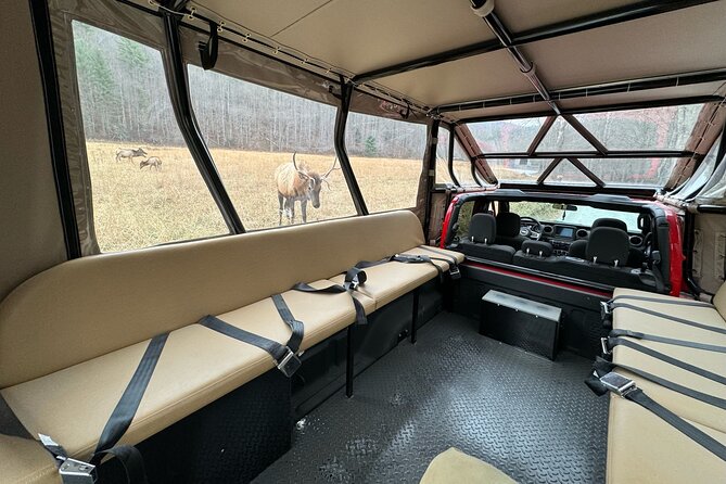 2.5-3 hour Smoky Mountain Cherokee Blue Ridge Parkway Safari tour - Who should book this Smoky Mountain safari