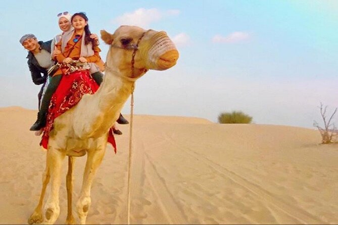 2-Day Abu Dhabi and Dubai City Tour with Desert Safari - Who should book this package?