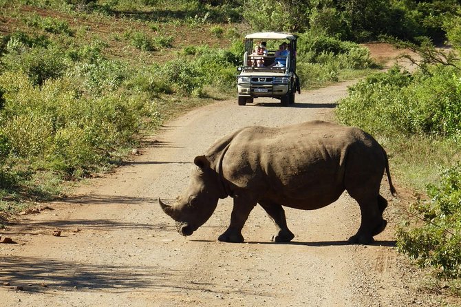 2 Day South African Wildlife Tour with 4x4 Safari from Cape Town - Leaving Cape Town for Botlierskop