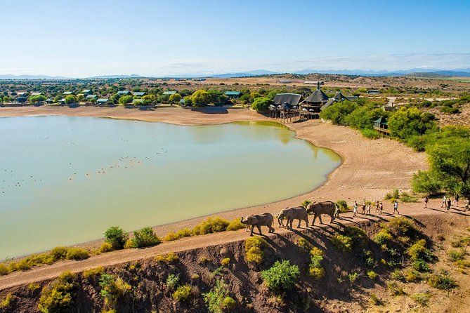 2 Day South African Wildlife Tour with 4x4 Safari from Cape Town - Botlierskop, the stronger big-game stop
