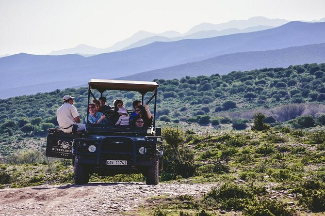 2 Day South African Wildlife Tour with 4x4 Safari from Cape Town - Oudtshoorn and the overnight pause