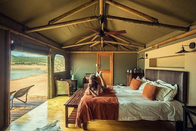2 Day Wild Heart Western Cape Safari Tour with Private Transfers - The guide can make or break the schedule