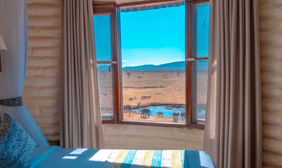 2 days 1 night saltlick safari from Diani/Mombasa - The first game drive in Taita Hills