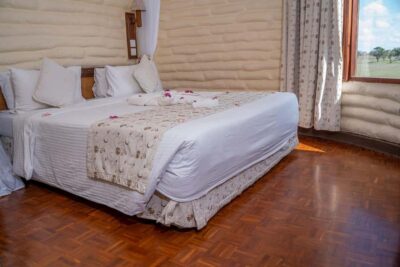 2 days 1 night saltlick safari from Diani/Mombasa