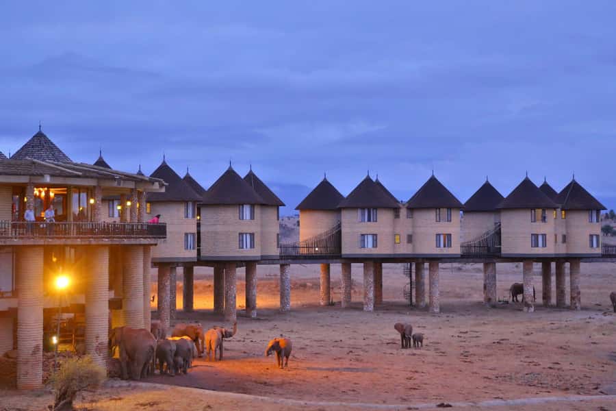 2 days 1 night saltlick safari from Diani/Mombasa - Lunch, a two-hour rest, and the lodge itself