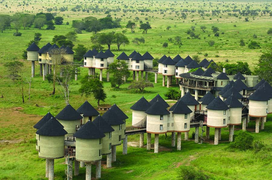 2 days 1 night saltlick safari from Diani/Mombasa - The evening drive through sunset