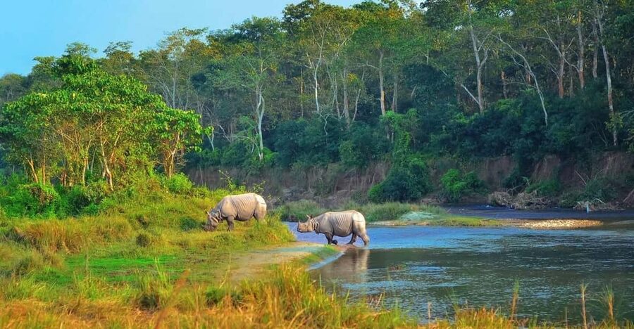 2 Days Chitwan Jungle Safari Tour from Pokhara/Kathmandu - Checking into Rainbow Safari Resort