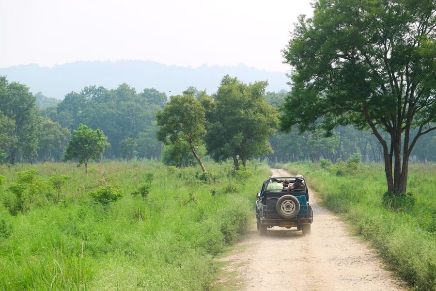 2 Days Chitwan Jungle Safari Tour from Pokhara/Kathmandu - The early jungle walk on day two