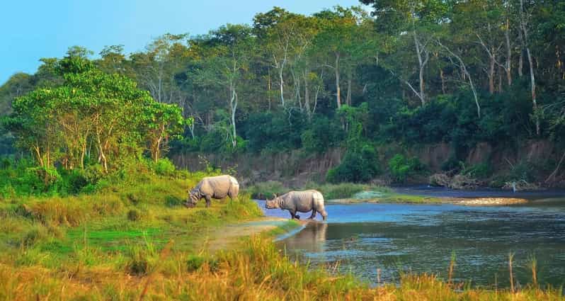 2 Days Chitwan Jungle Safari Tour from Pokhara/Kathmandu - Who should book this experience?