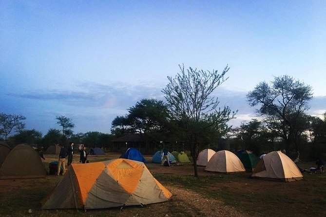 2 days Mid Range Safari in Ngorongoro and Tarangire Big 5 Parks - What is included, and what is not