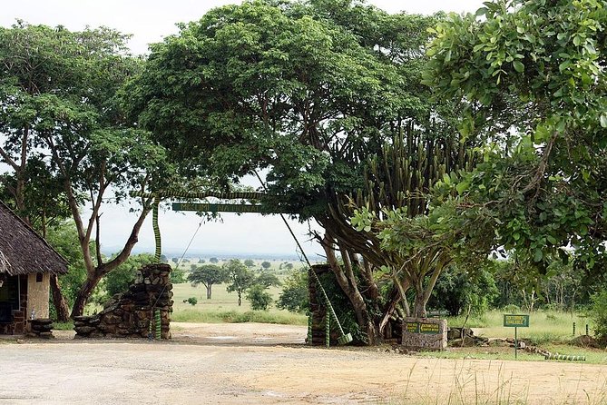 2 Days - Mikumi safari depart from Zanzibar or Dar es salaam - The Zanzibar route, from hotel pickup to park gate