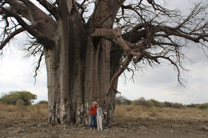 2 days private lodge safari - What the guide can change