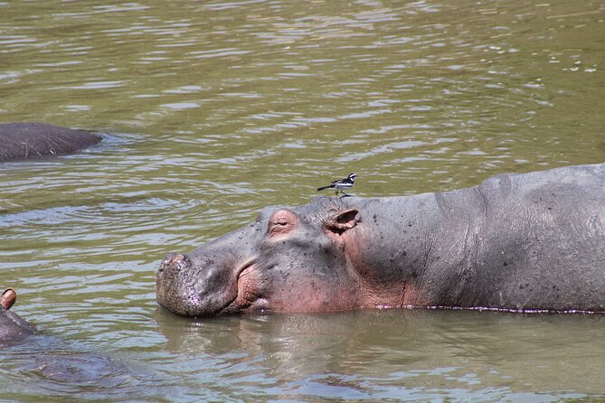 2 days private lodge safari - Food, packing, and the long road days