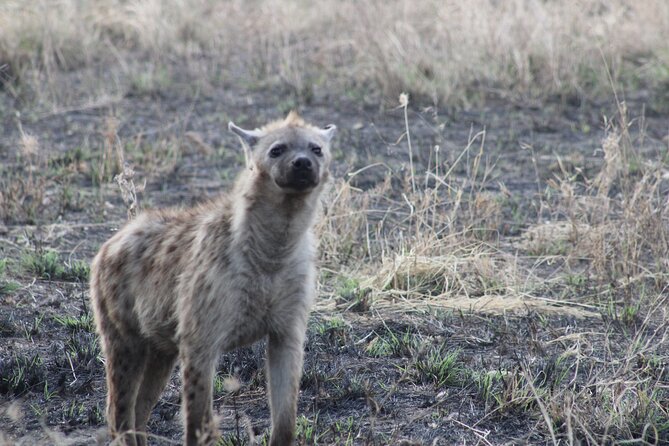 2 days private lodge safari - Who should book this safari?