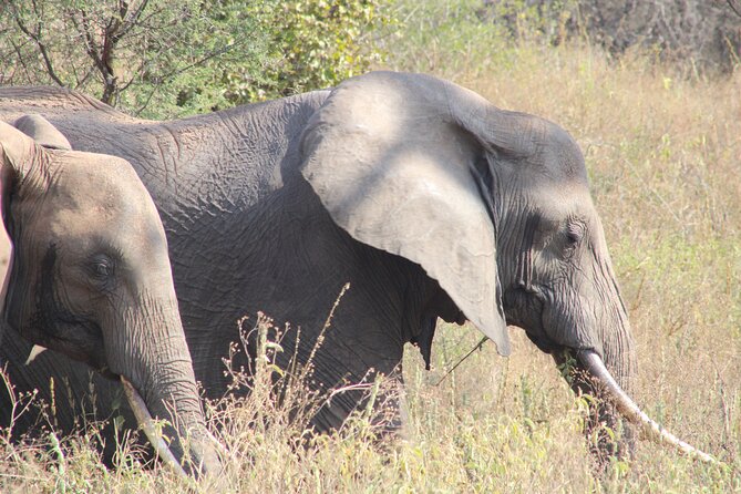 2 days private lodge safari - Overnight near Mto wa Mbu
