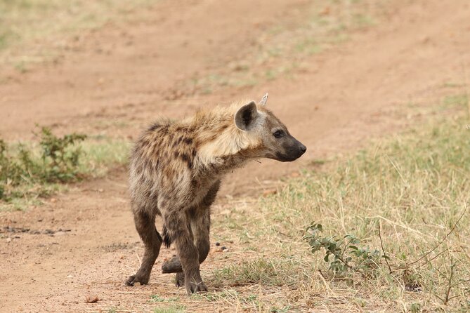 2 Days Tarangire and Ngorongoro Group Camping Safari - Why this two-day route works from Arusha