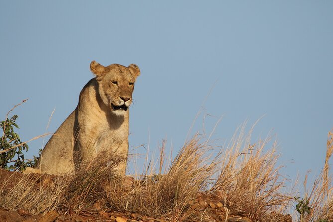 2 Days Tarangire and Ngorongoro Group Camping Safari - Booking and cancellation details that matter