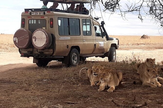 2 Days Tarangire & Ngorongoro Budget Safari Tour Tanzania - Food, accommodation, and what budget really means