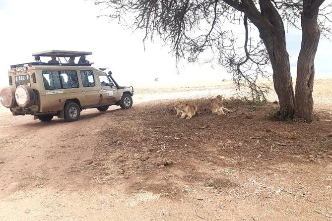 2 Days Tarangire & Ngorongoro Budget Safari Tour Tanzania - What is included, and what still costs extra