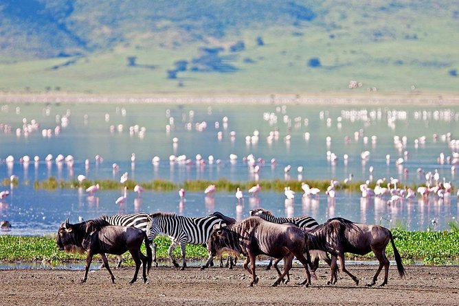 2 Days Tarangire & Ngorongoro Budget Safari Tour Tanzania - Day one: baobabs and elephants in Tarangire