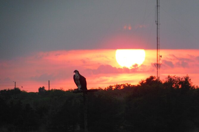 2-Hour Sunset Safari Eco Cruise on the Osprey from Cape May - Entering Cape May’s back-bay marsh at 6:00 pm