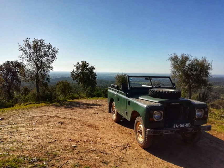 2hr Cork Safari in a Classical Land Rover - Timing, language, and practical planning