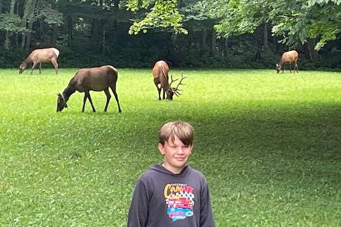 3 - 3.5 HR Smoky Mtn. Cherokee Eco Elk Safari Jeep Adventure - Mile-high views bring the Smokies into focus
