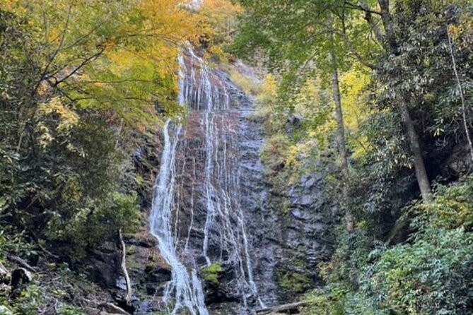 3 - 3.5 HR Smoky Mtn. Cherokee Eco Elk Safari Jeep Adventure - Great Smoky Mountains National Park adds forest and wildlife variety
