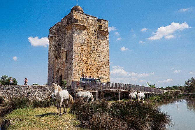 3.5 Hour Camargue 4x4 Safari from Le Grau-du Roi - Is the three-hour length enough?