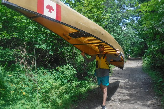 3 Day Algonquin Park Canoe Trip - Moose & Beaver Safari - The mosquito question is not a small one