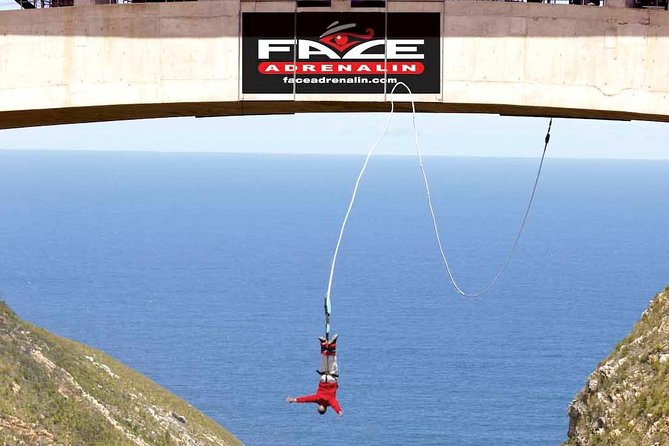 3 Day Big 5 and Bungee Tour - Garden Route Small Group Tour from Cape Town - What This Three-Day Garden Route Tour Really Delivers